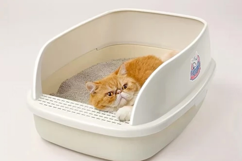 Best Cat Litter Box Brand: Catidea